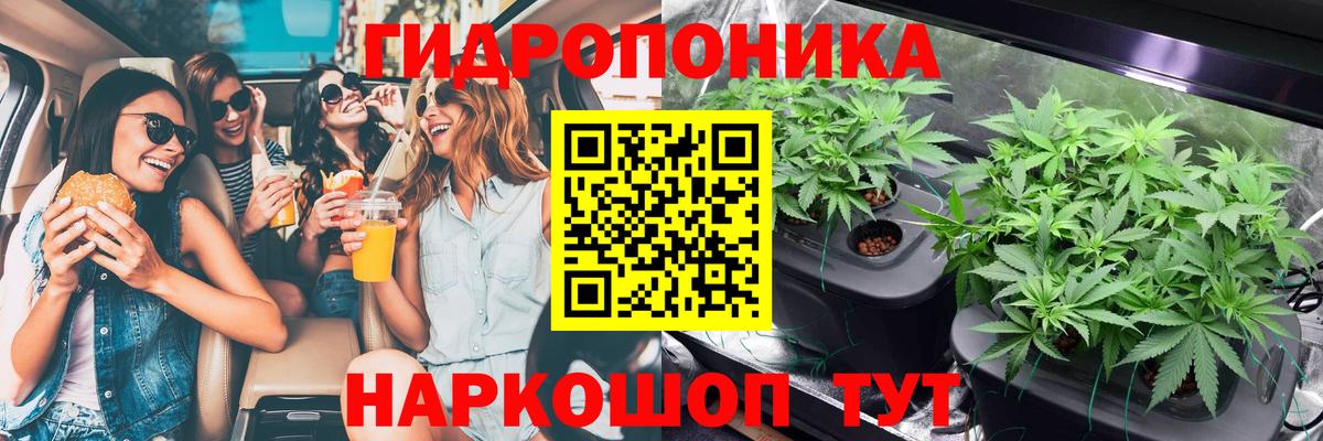 Бошки марихуана сатива Краснотурьинск